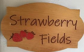 Strawberry Fields Is Now C L O S E D